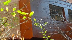 Fachada interior en acero corten